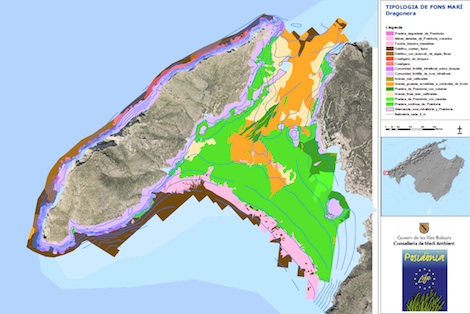 Image for article Maps of areas to avoid Posidonia weed made available